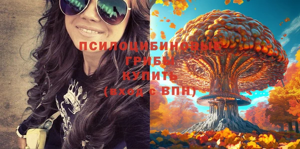 apvp Алексин