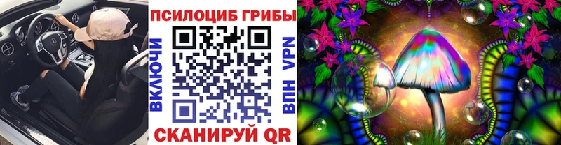 Галлюциногенные грибы Psilocybine cubensis  Калач-на-Дону 
